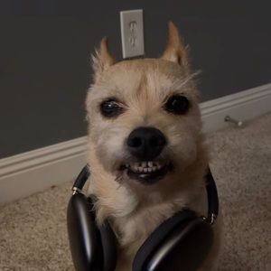 Meet your Posher, Khloe